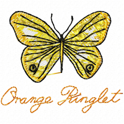 Butterfly Embroidery Design 4